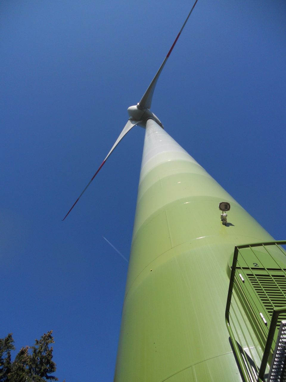 Deutsche Windräder Todesfalle für Fledermäuse aus Nordosteuropa