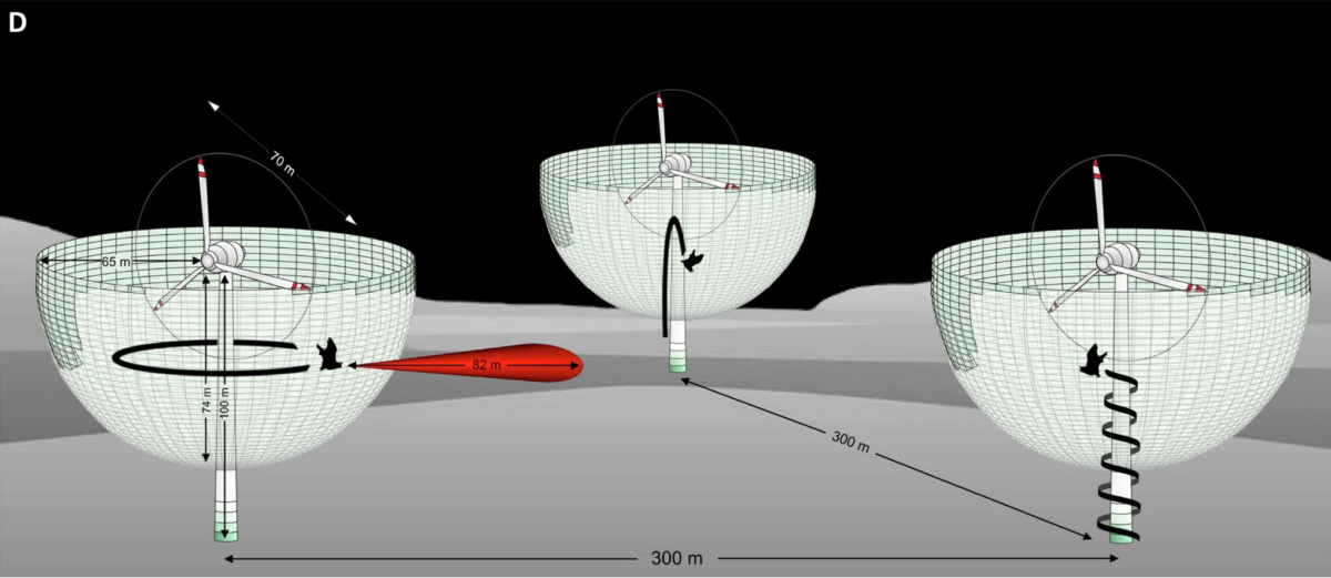 Male bats sing in the rotor area of wind turbines